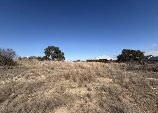 rental at 203 George Dolson in Blanco, TX — photo 3