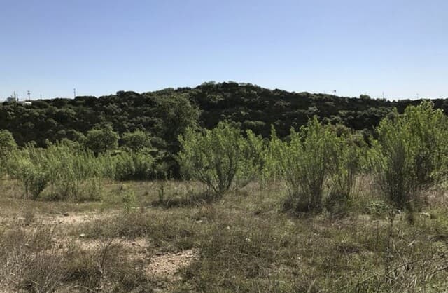 rental at 17719 Rancho Diana in San Antonio, TX — photo 5