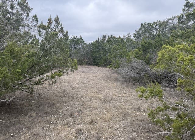 rental at LOT 71 S Cliff in Spring Branch, TX — photo 1