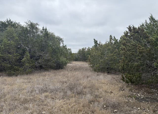 rental at LOT 71 S Cliff in Spring Branch, TX — photo 5