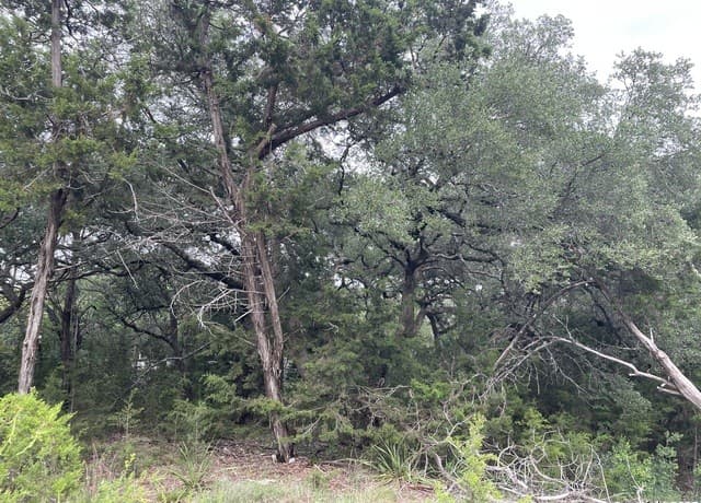 rental at 472 Stallion Estates Dr in Spring Branch, TX — photo 3