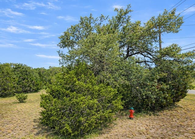 rental at 210 Coneflower in Spring Branch, TX — photo 5
