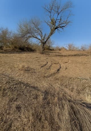 rental at 2519 Hicks in San Antonio, TX — photo 5
