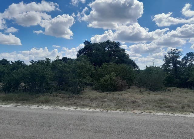 rental at 612 Calvin Barrett in Blanco, TX — photo 3