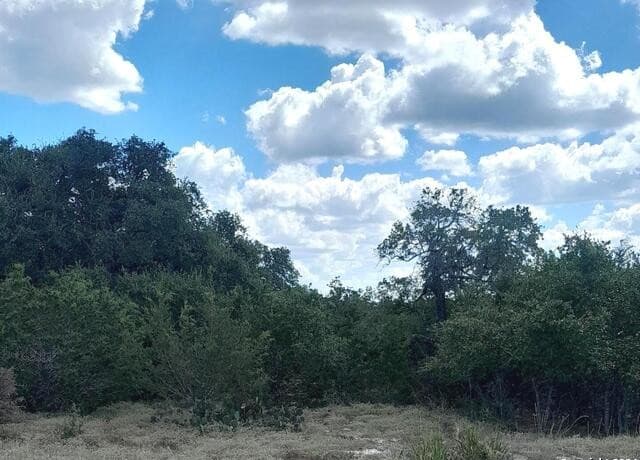 rental at 612 Calvin Barrett in Blanco, TX — photo 4