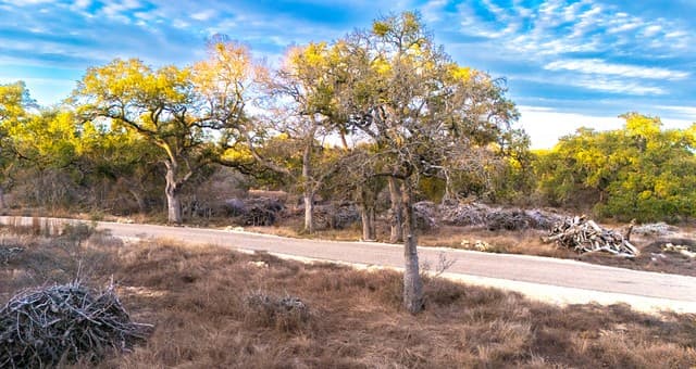 rental at 0 Rebecca Creek Rd in Spring Branch, TX — photo 5