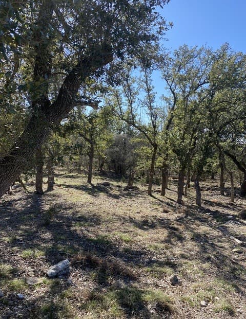 rental at 106 Ulmus in Fredericksburg, TX — photo 1