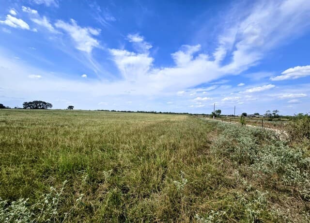 rental at TBD Fm472 in Bigfoot, TX — photo 5