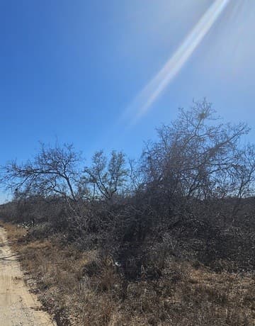 rental at IH 35 Ih 35 Esm in Natalia, TX — photo 1