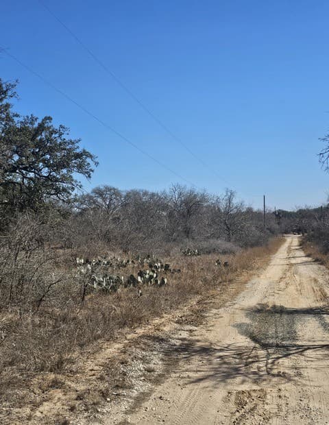 rental at IH 35 Ih 35 Esm in Natalia, TX — photo 2