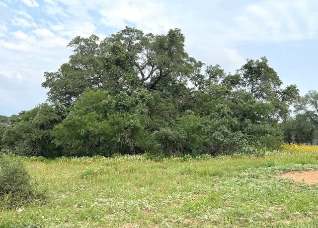 rental at 606 Sherrywood Ln in San Antonio, TX — photo 1