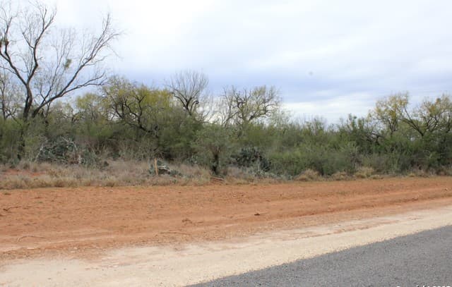 rental at 3435 County Road/Main Street in Pearsall, TX — photo 2