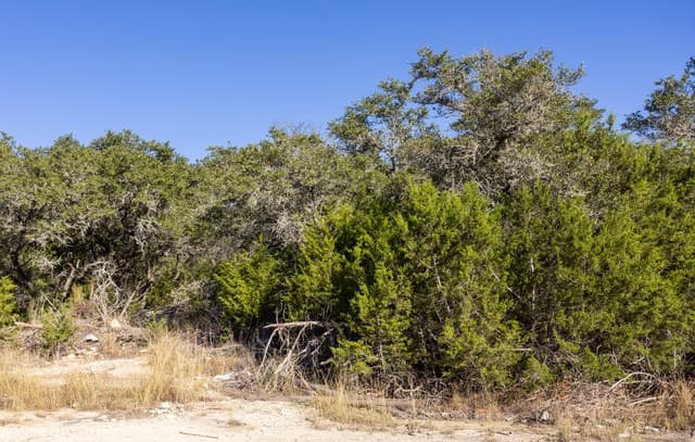 rental at BLOCK 1, LOT 24 Standing Tall in Boerne, TX — photo 3