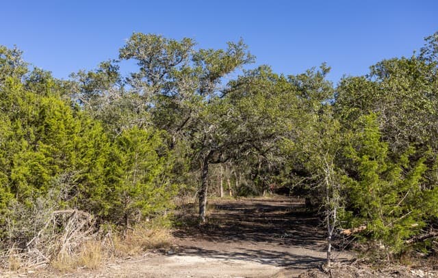 rental at BLOCK 1, LOT 24 Standing Tall in Boerne, TX — photo 4