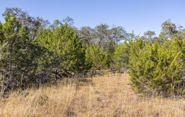 rental at BLOCK 1, LOT 13 Standing Tall in Boerne, TX — photo 4