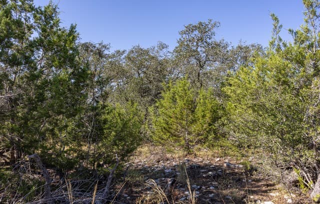 rental at BLOCK 1, LOT 13 Standing Tall in Boerne, TX — photo 5