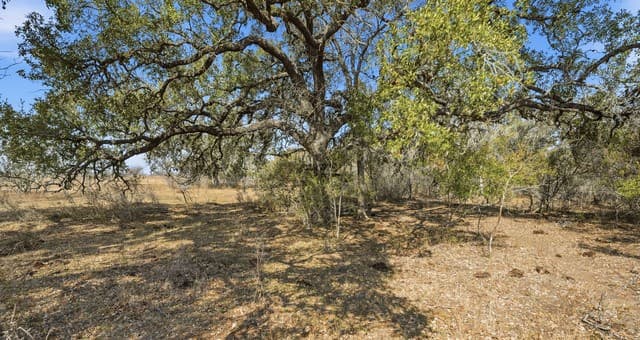 rental at TBD Hohn Road in Nordheim, TX — photo 1