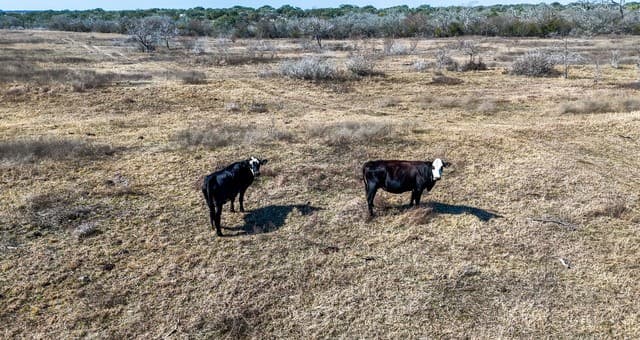rental at TBD Hohn Road in Nordheim, TX — photo 5
