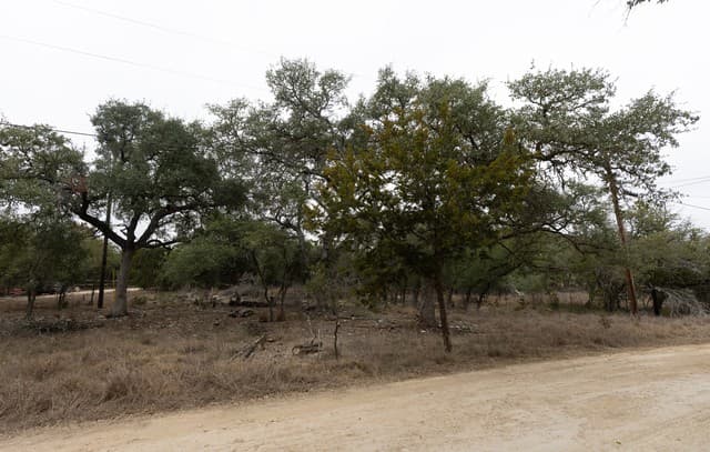 rental at TBD Tbd in Spring Branch, TX — photo 2