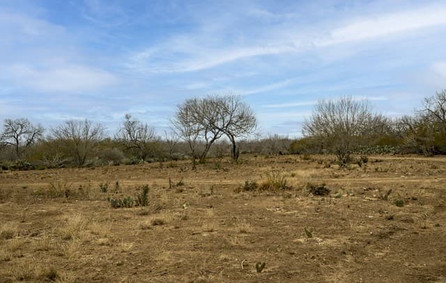 rental at 2410 San Miguel Tract #1 in Moore, TX — photo 5