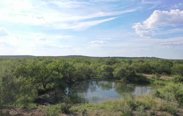 rental at 00 Fm 140 in Pearsall, TX — photo 3