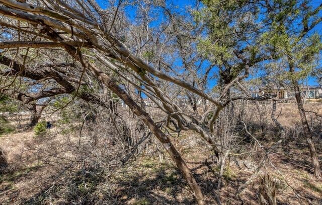 rental at 6914 Bluff Run in San Antonio, TX — photo 4