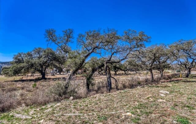 rental at 6922 Bluff Run in San Antonio, TX — photo 5