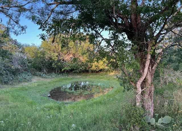 rental at 0 Bruce Rd. in Pleasanton, TX — photo 3