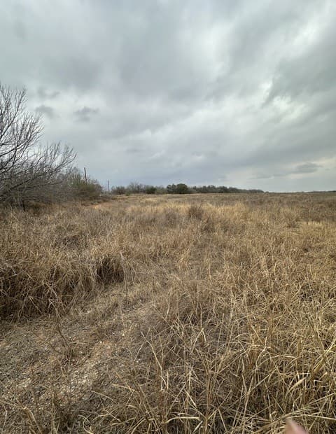 rental at 000 E Fm 462 in Moore, TX — photo 1