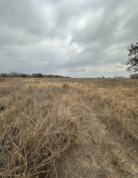 rental at 000 E Fm 462 in Moore, TX — photo 2