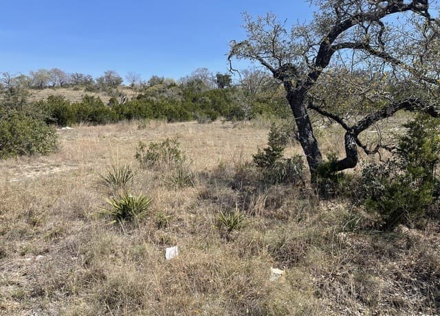 rental at 23111 Norfolk Cyn in San Antonio, TX — photo 5