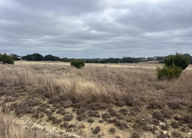 rental at 220 Peter Kleid in Blanco, TX — photo 3