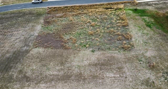 rental at 715 Abbott in St Hedwig, TX — photo 3