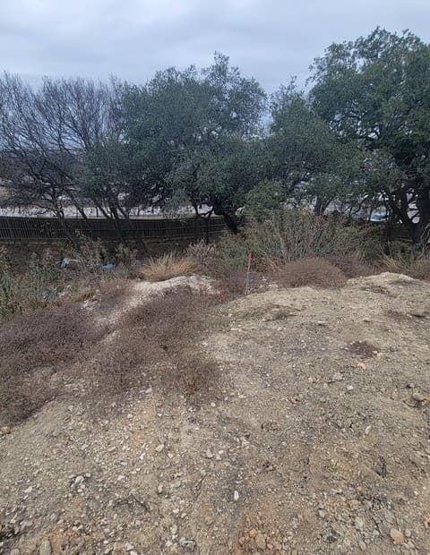 rental at 14922 Medusa in Selma, TX — photo 4