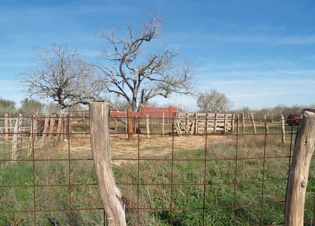 rental at TBD 10 AC Fm 539 in Seguin, TX — photo 4