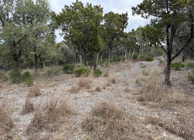 rental at LOT 45 Pr 2775 in Mico, TX — photo 3