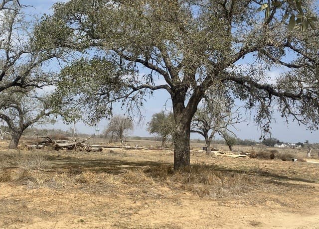 rental at 1790 W Goodwin in Pleasanton, TX — photo 1