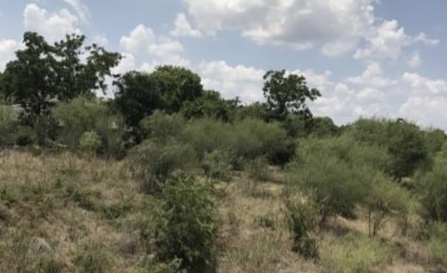 rental at 103 W Mitchell in San Antonio, TX — photo 4