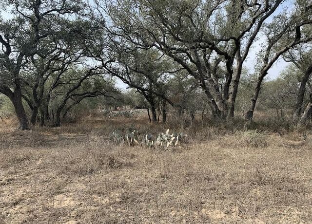 rental at 00 Cr 6719 in Natalia, TX — photo 5