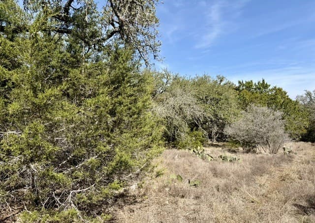 rental at 310 Spring in Spring Branch, TX — photo 4