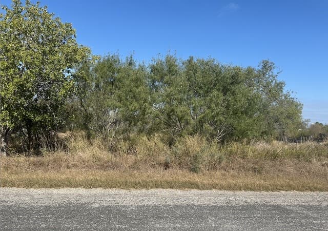 rental at TBD Olive in Jourdanton, TX — photo 4
