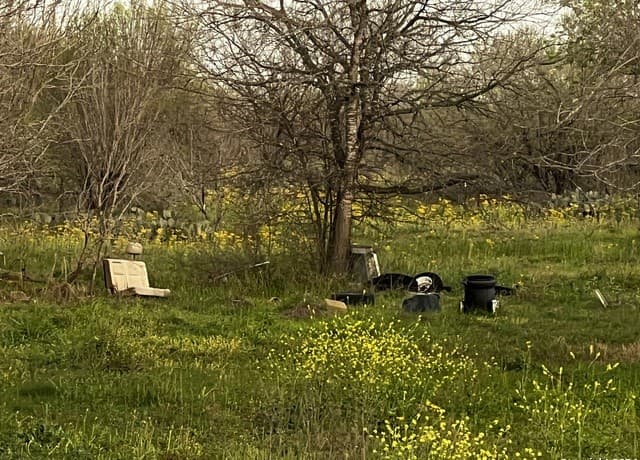 rental at 15750 Shepherd Rd in Atascosa, TX — photo 4