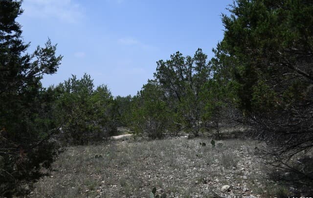 rental at 135 Agarita in Spring Branch, TX — photo 1