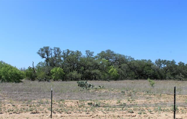 rental at 1163 W Fm 476 in Somerset, TX — photo 5