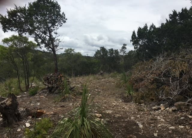 rental at LOT 195 County Road 2801 E in Mico, TX — photo 5