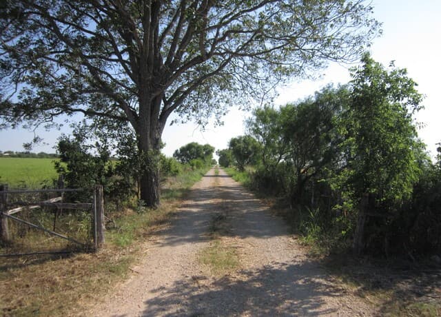 2-bedroom rental at 4111 Stapper Rd in St Hedwig, TX — photo 5
