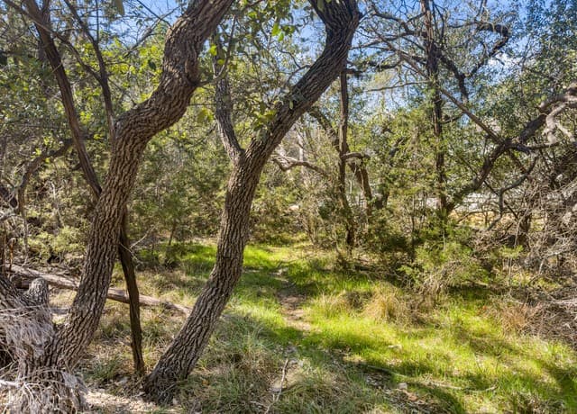 rental at 1738 Cave Drive in Spring Branch, TX — photo 3