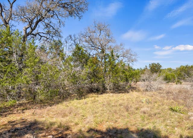 rental at 535 Left Fork Place in Spring Branch, TX — photo 2