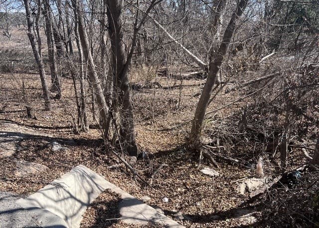 rental at TBD Ess Rd in Atascosa, TX — photo 1