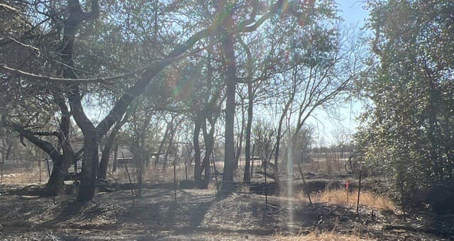 rental at 0 Ess Rd in Atascosa, TX — photo 3